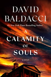 calamityofsoulsbaldacci