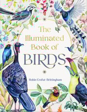 illuminatedbookofbirds