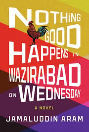 nothinggoodhappensinwazirabadonwednesday