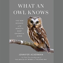 whatanowlknows